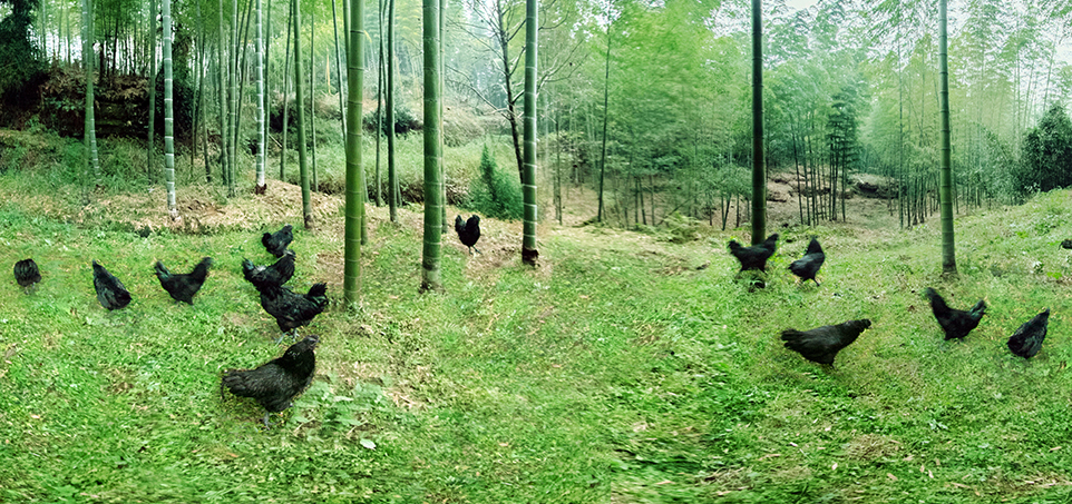 中国·7790必发集团(股份)有限公司-官方网站