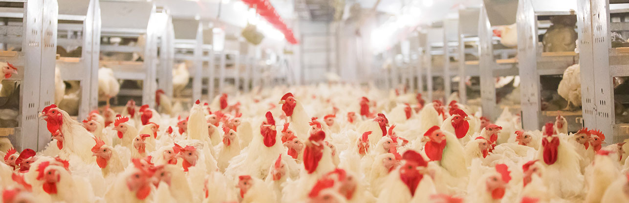 中国·7790必发集团(股份)有限公司-官方网站