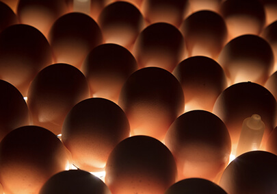 中国·7790必发集团(股份)有限公司-官方网站