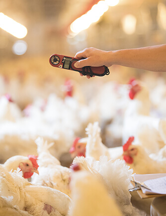 中国·7790必发集团(股份)有限公司-官方网站