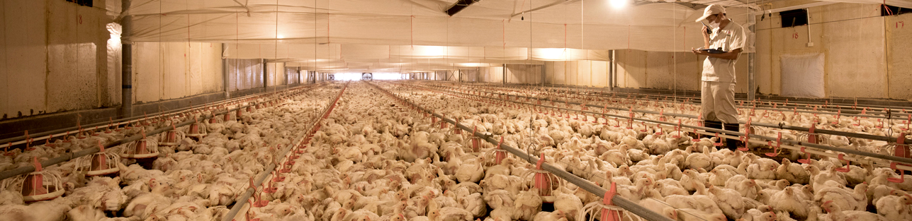 中国·7790必发集团(股份)有限公司-官方网站