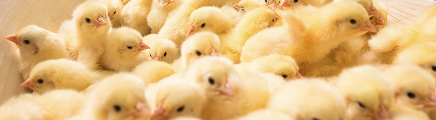 中国·7790必发集团(股份)有限公司-官方网站