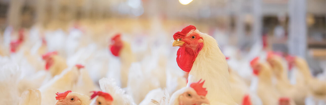 中国·7790必发集团(股份)有限公司-官方网站